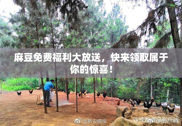 麻豆免费福利大放送，快来领取属于你的惊喜！