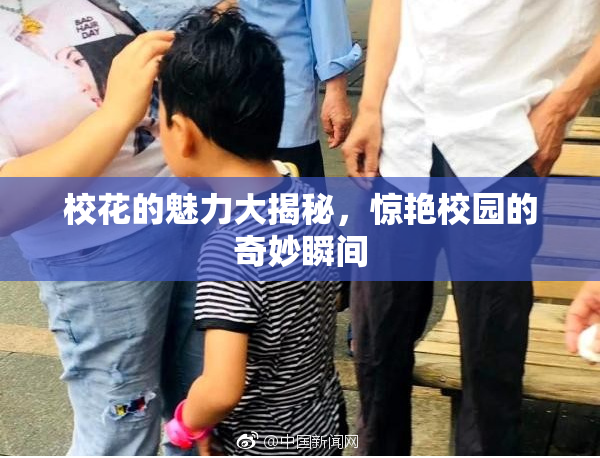 校花的魅力大揭秘，惊艳校园的奇妙瞬间