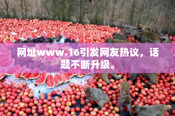 网址www.16引发网友热议，话题不断升级。