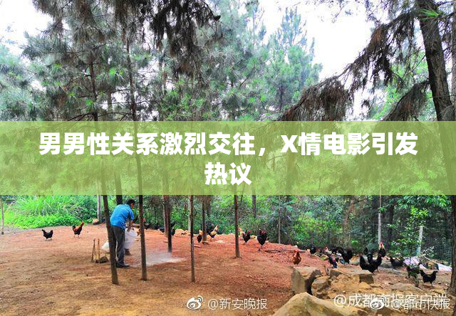 男男性关系激烈交往，X情电影引发热议