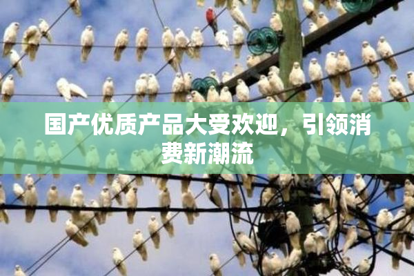 国产优质产品大受欢迎，引领消费新潮流