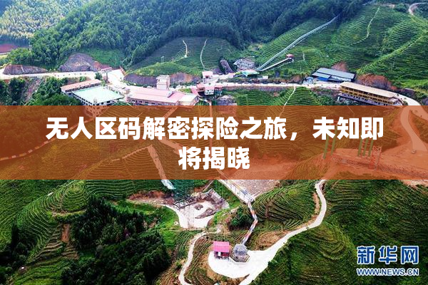无人区码解密探险之旅，未知即将揭晓