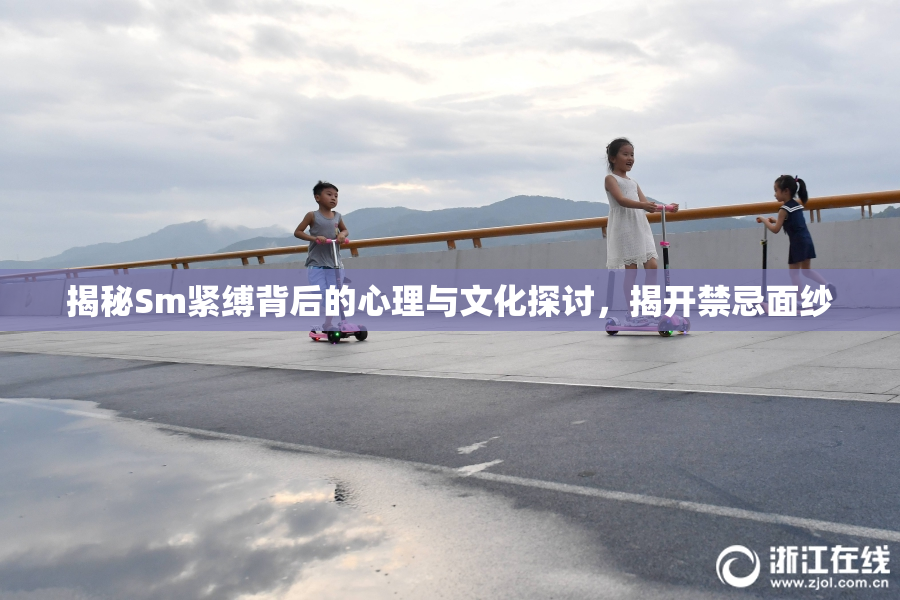 揭秘Sm紧缚背后的心理与文化探讨，揭开禁忌面纱
