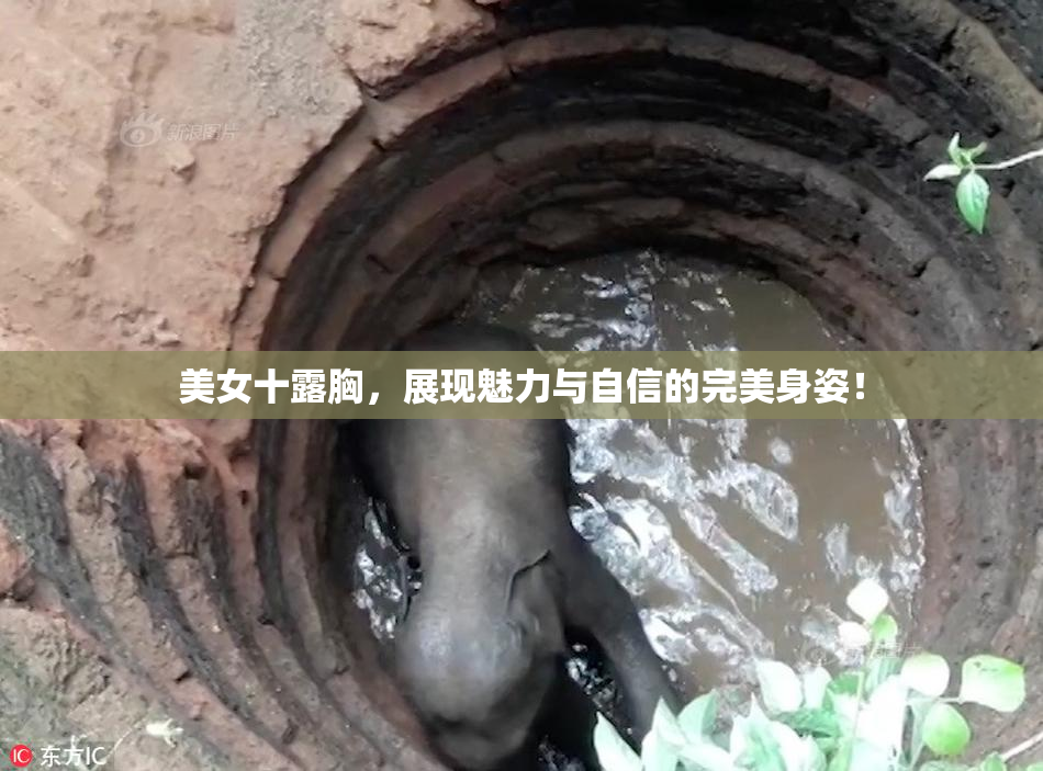 美女十露胸，展现魅力与自信的完美身姿！