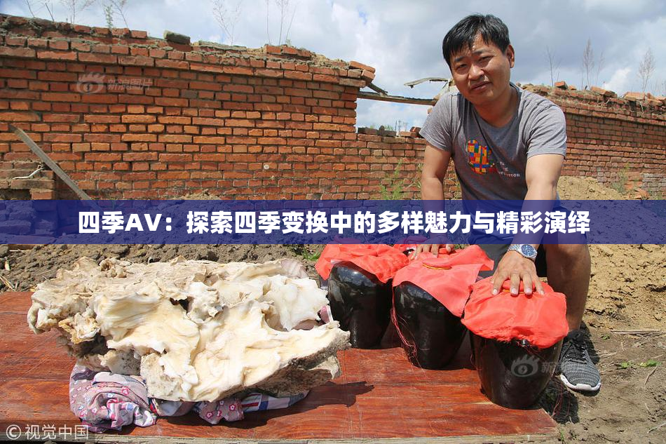 四季AV：探索四季变换中的多样魅力与精彩演绎