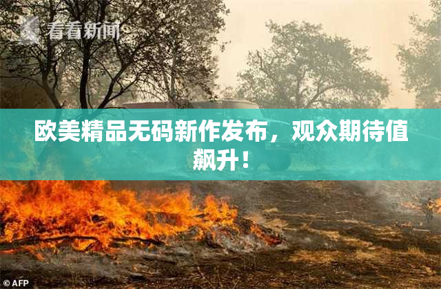 欧美精品无码新作发布，观众期待值飙升！
