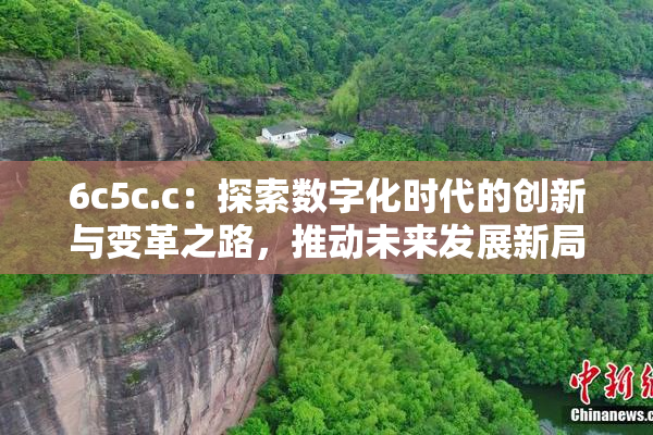 6c5c.c：探索数字化时代的创新与变革之路，推动未来发展新局面
