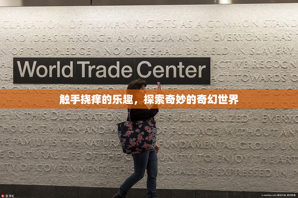 触手挠痒的乐趣，探索奇妙的奇幻世界