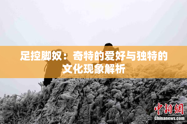 足控脚奴：奇特的爱好与独特的文化现象解析