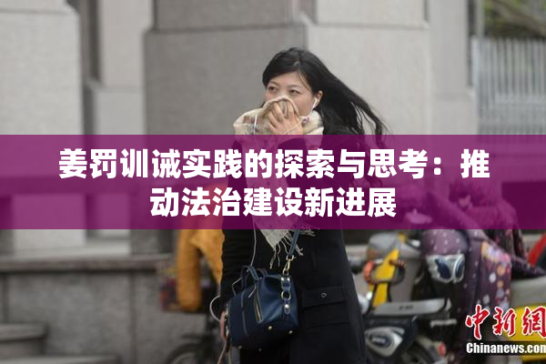 姜罚训诫实践的探索与思考：推动法治建设新进展