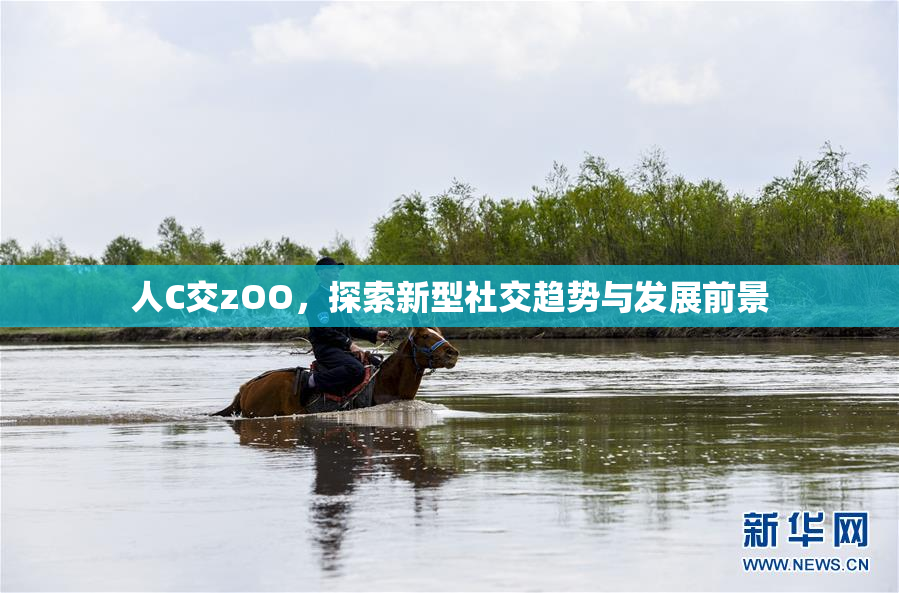 人C交zOO，探索新型社交趋势与发展前景