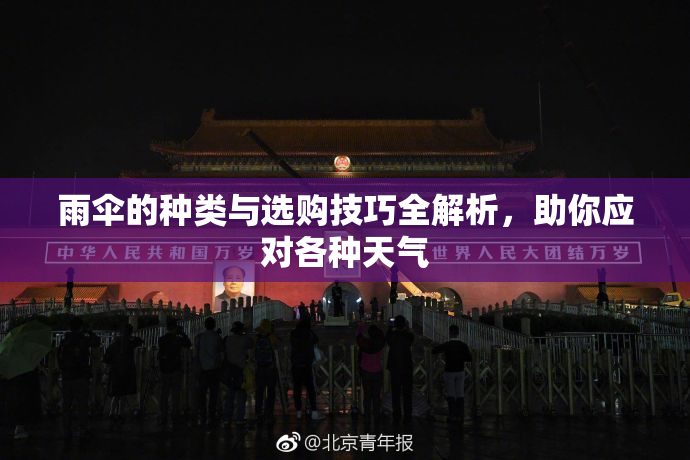 雨伞的种类与选购技巧全解析，助你应对各种天气