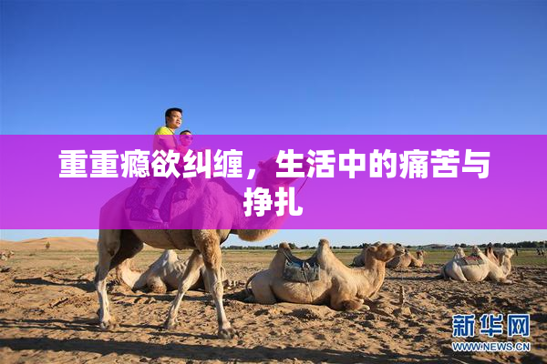 重重瘾欲纠缠，生活中的痛苦与挣扎