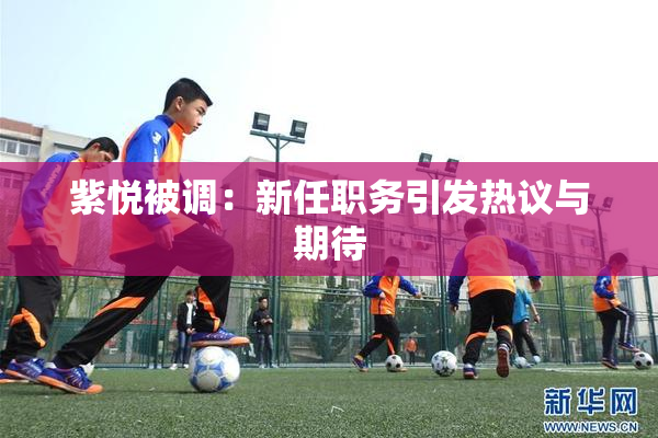 紫悦被调：新任职务引发热议与期待