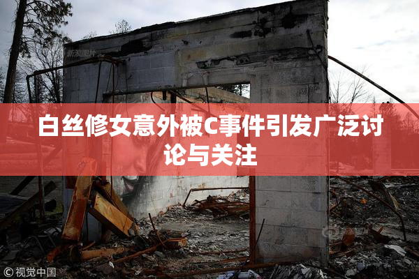 白丝修女意外被C事件引发广泛讨论与关注