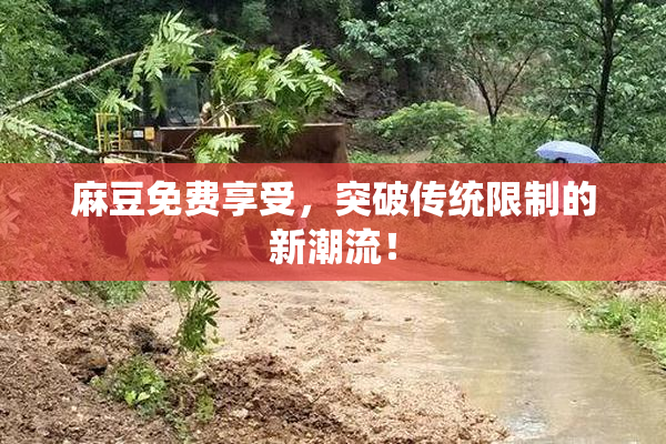 麻豆免费享受，突破传统限制的新潮流！