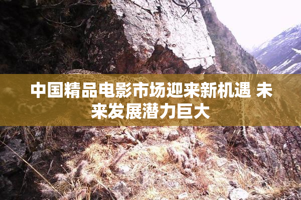中国精品电影市场迎来新机遇 未来发展潜力巨大