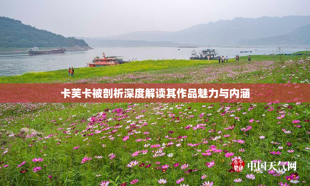 卡芙卡被剖析深度解读其作品魅力与内涵