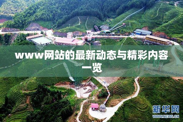 www网站的最新动态与精彩内容一览