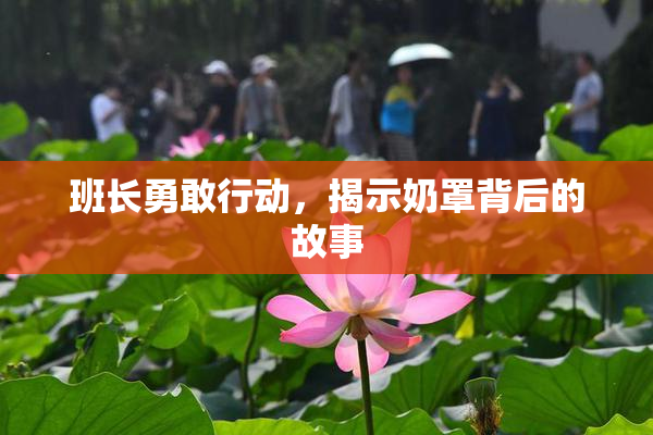 班长勇敢行动，揭示奶罩背后的故事