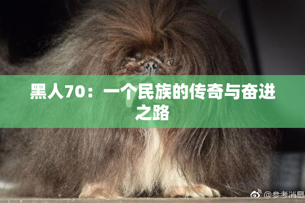 黑人70：一个民族的传奇与奋进之路