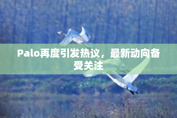 Palo再度引发热议，最新动向备受关注