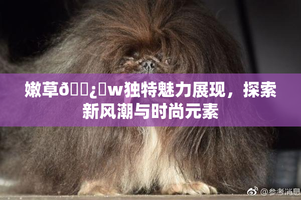 嫩草🌿‌w独特魅力展现，探索新风潮与时尚元素