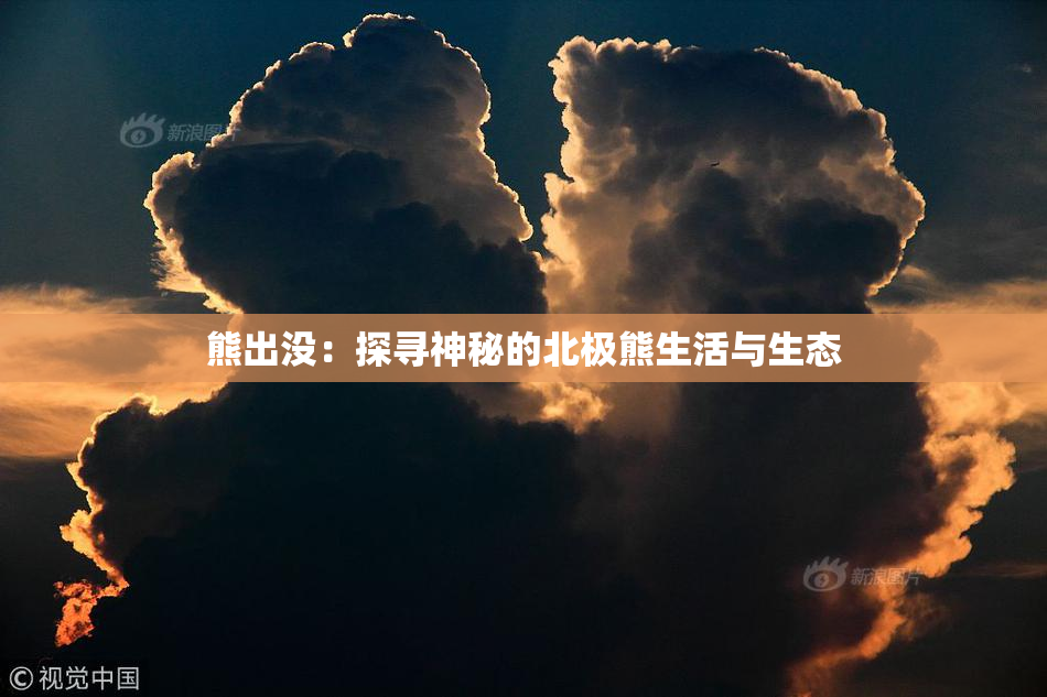 熊出没：探寻神秘的北极熊生活与生态