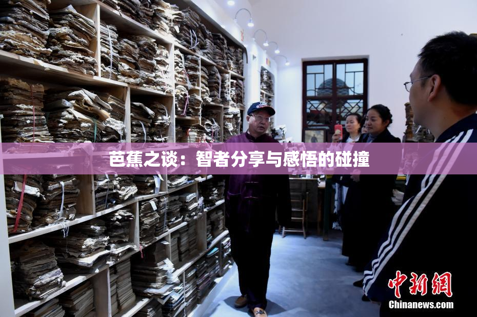 芭蕉之谈：智者分享与感悟的碰撞