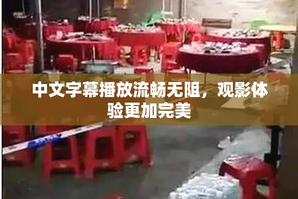 中文字幕播放流畅无阻，观影体验更加完美
