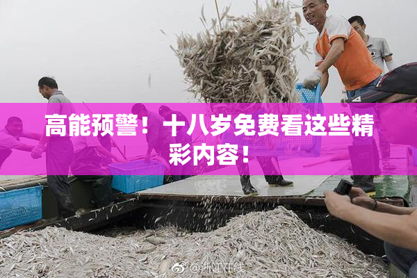 高能预警！十八岁免费看这些精彩内容！