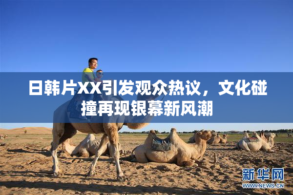 日韩片XX引发观众热议，文化碰撞再现银幕新风潮