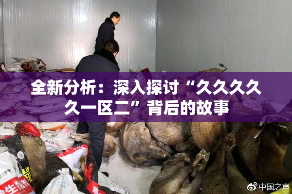 全新分析：深入探讨“久久久久久一区二”背后的故事