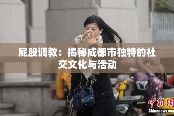 屁股调教：揭秘成都市独特的社交文化与活动