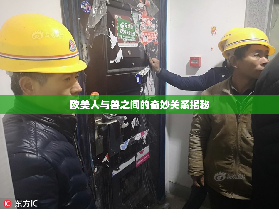 欧美人与兽之间的奇妙关系揭秘