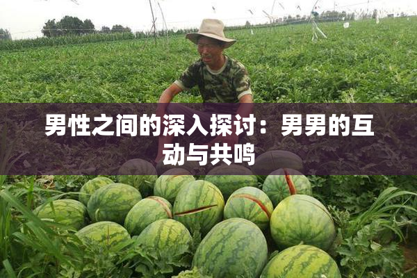 男性之间的深入探讨：男男的互动与共鸣