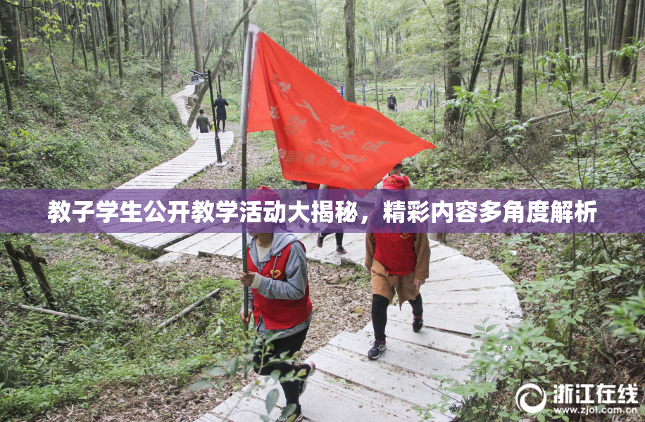教子学生公开教学活动大揭秘，精彩内容多角度解析