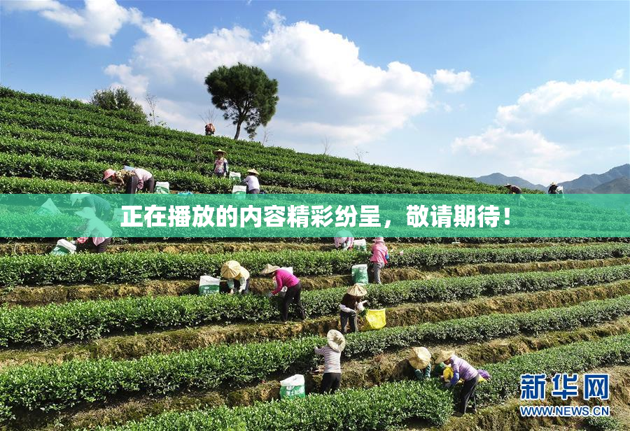 正在播放的内容精彩纷呈，敬请期待！