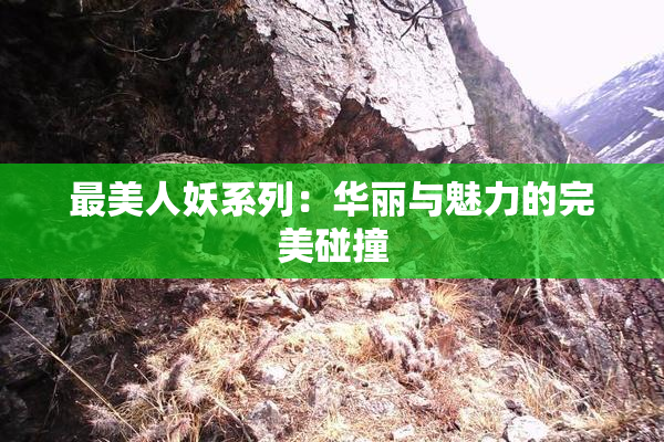 最美人妖系列：华丽与魅力的完美碰撞