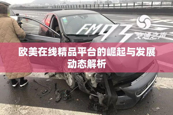 欧美在线精品平台的崛起与发展动态解析
