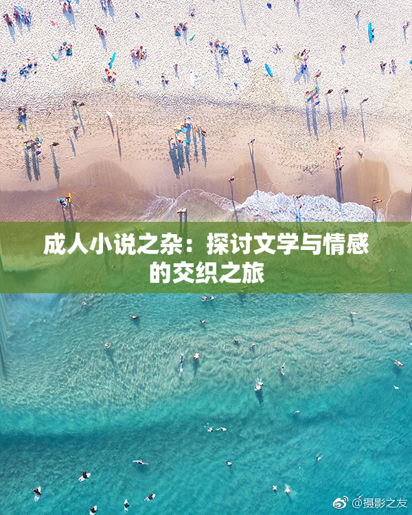 成人小说之杂：探讨文学与情感的交织之旅