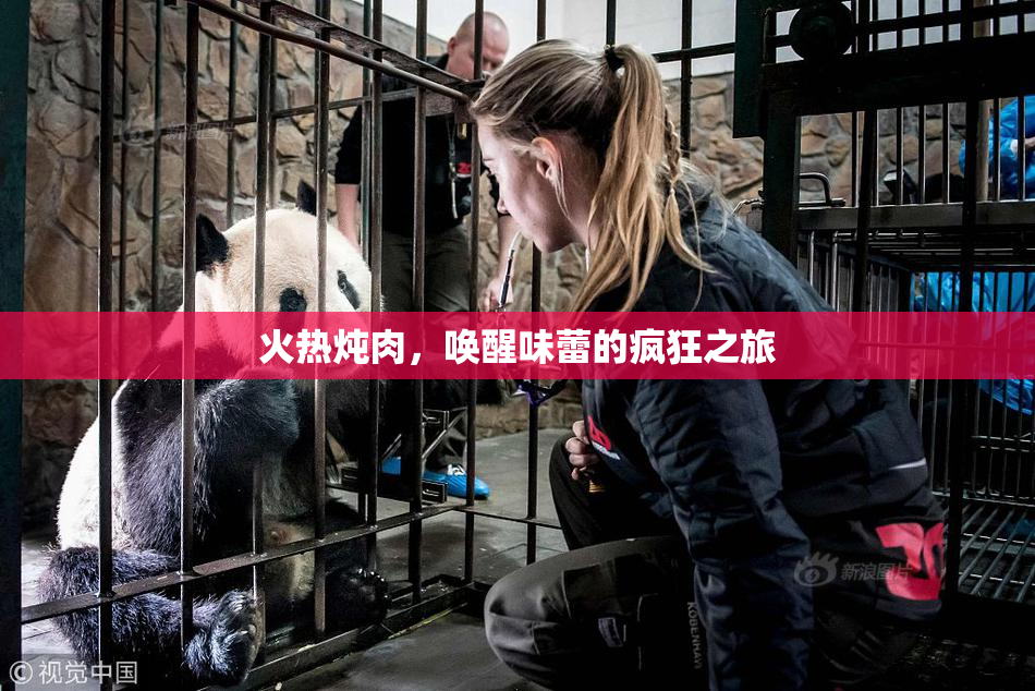 火热炖肉，唤醒味蕾的疯狂之旅