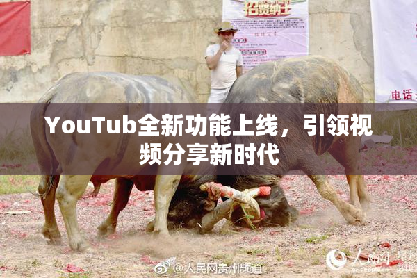 YouTub全新功能上线，引领视频分享新时代