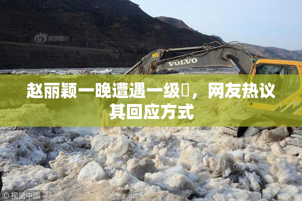 赵丽颖一晚遭遇一级婬，网友热议其回应方式