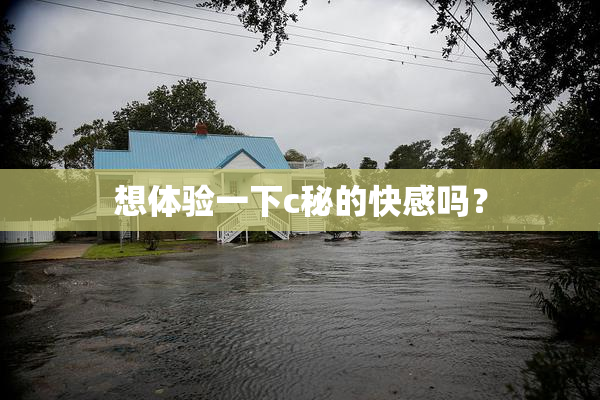 想体验一下c秘的快感吗？