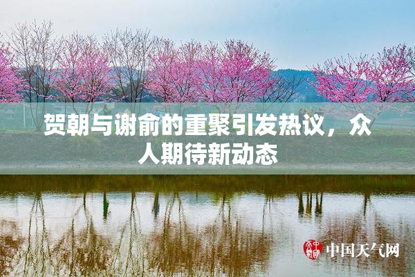 贺朝与谢俞的重聚引发热议，众人期待新动态