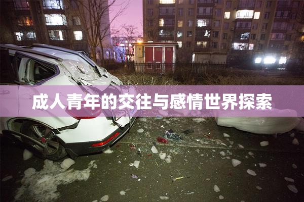 成人青年的交往与感情世界探索
