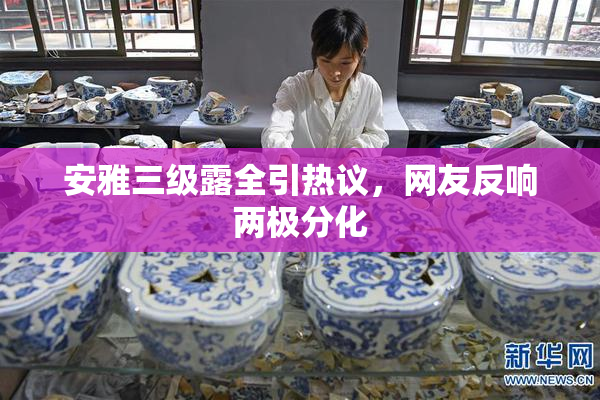 安雅三级露全引热议，网友反响两极分化