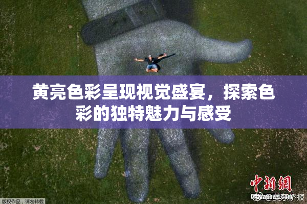 黄亮色彩呈现视觉盛宴，探索色彩的独特魅力与感受