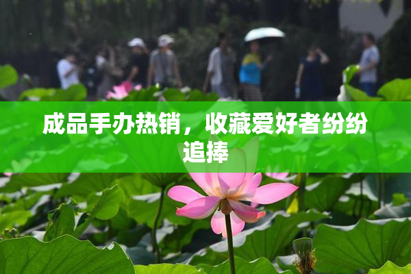成品手办热销，收藏爱好者纷纷追捧